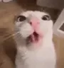 crunchy