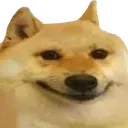 dogesmoil dogesmoil