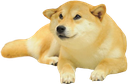 :doggo~1: