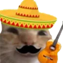 catpendejo Discord Emoji