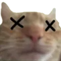 Catdead CatDead Discord Emoji