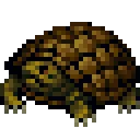 boxTurtle