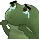 FrogeCryWorry