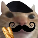 catlto Discord Emoji