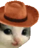 Meowdytip
