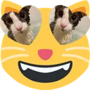 cat_sog_hearts