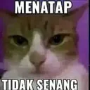 399728203_1432819290601130_66367