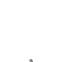 gato_zoomico