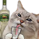 sip