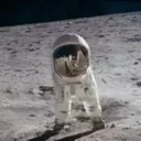 amongonaut