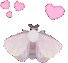 moth