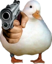 DuckGun DuckGun