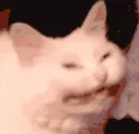 xD