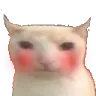 BlushCat