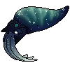 squid