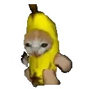 BananaCatRun