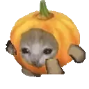 PumpkinCatRun