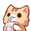 catsip