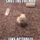 _10shutthefuckup _10shutthefuckup