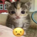 _10whar _10whar