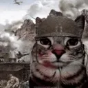 1000MeowrdStare