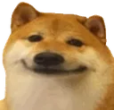 Doge