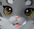 bozocat Discord Emoji