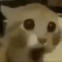 HOLYSHIT