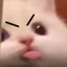 angymlem