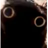 CS_CatFrog CS_CatFrog