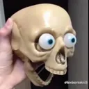 skullpog skullpog