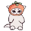 strawberrycat_white