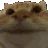 catyes