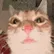 catErm2 catErm2