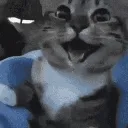 D_