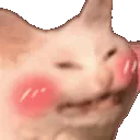 catblush