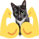 flex