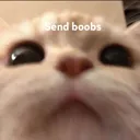 Sendboobs