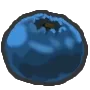 Blueberry blueberry Discord Emoji