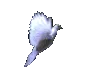 ls_dove