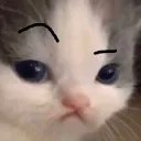 WHAT