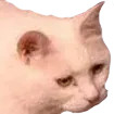 echsad