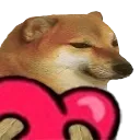 Dog_cheemsLUV