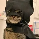catman