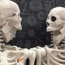 surprisebone