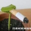 randomgarbageinmygallery