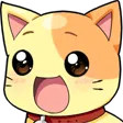 catpog catpog