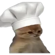 goofyCatChef