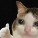 Crycat Discord Emoji
