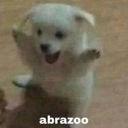 RT_Abraso Discord emoji